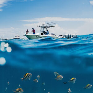 Miami or Ft. Lauderdale Florida Flats Fishing