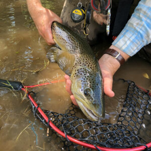 Louisiana Blast and Cast Guided Morning Hunt and afternoon Fishing
