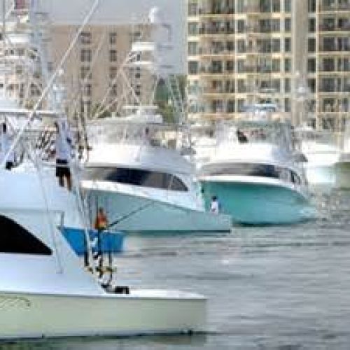 Custom Destin Deep Sea Trips with Captain with over 35 years of Experience_Page_1_Image_0001