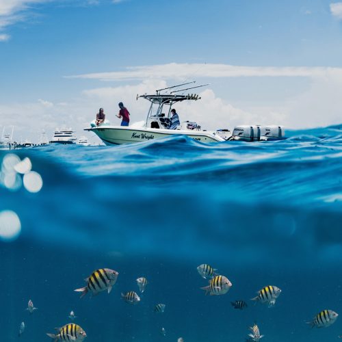 Destin Florida Deep Sea Fishing Trips